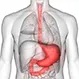How Long Does Stomach Cancer Take to Develop?