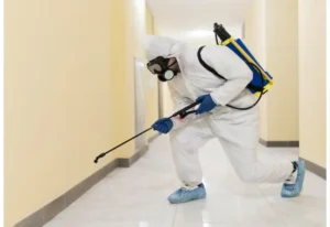 Bedbug Exterminator In Toronto