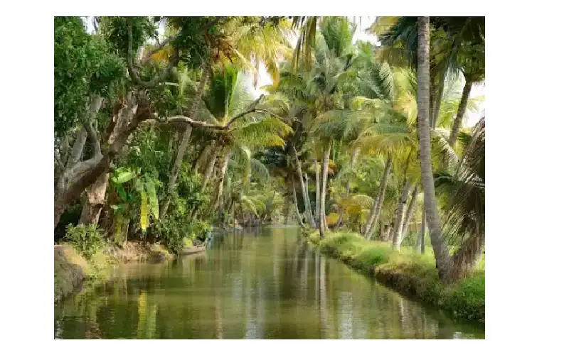 Kerala Luxury Tour