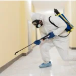 bedbug exterminator in Toronto