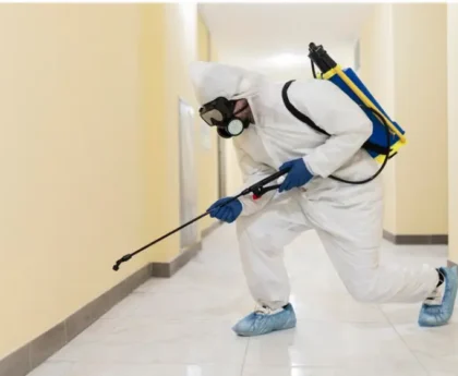 bedbug exterminator in Toronto