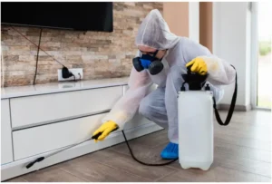 bedbug exterminator in Toronto